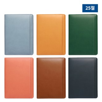 25�� ��Ÿ Ư�Ƚ� ������ ���̾