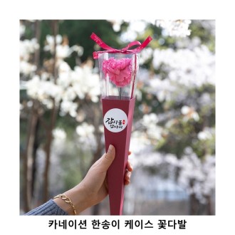 ��ũ�ص� ī���̼� �Ѽ��� ���̽� �ɴٹ�(���н�/������/����̳�/�����ǳ�)