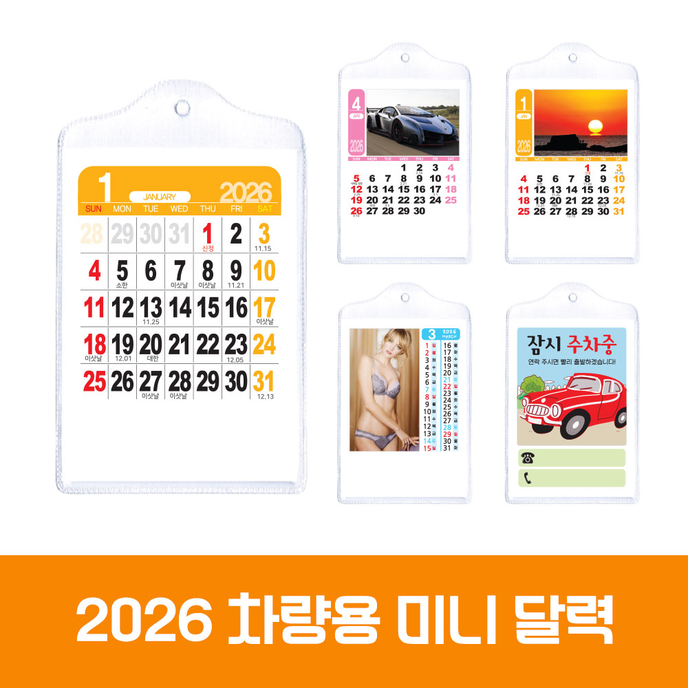 ���� �̴�ī���� ����